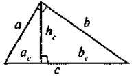 Ознаки подібності прямокутних трикутників. Пропорційні відрізки в прямокутному трикутнику