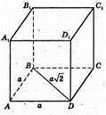 Геометричні тіла і многокутники