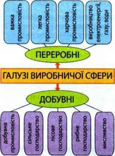 Галузева і територіальна структура господарства