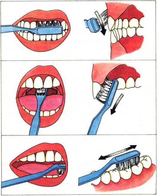 Особливості догляду за зубами і порожниною рота. Вибір засобів особистої гігієни