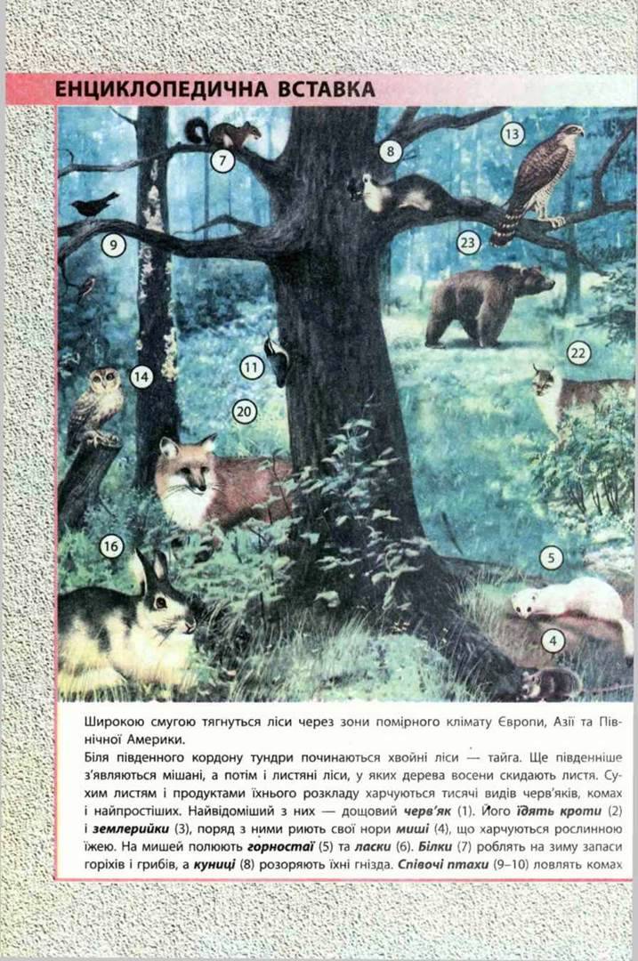 Тварини в екосистемі