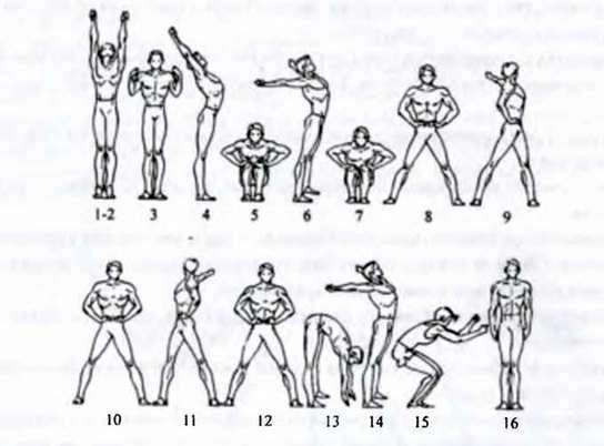 Прикладна фізична підготовка: гімнастичні вправи
