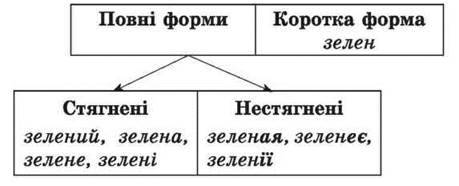 ПОВНІ Й КОРОТКІ ФОРМИ ПРИКМЕТНИКІВ