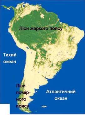 Природні зони: вологі екваторіальні ліси, савани