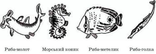 Риби