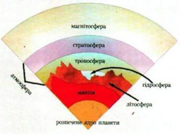 Структура і функції біосфери   БІОСФЕРА І ЛЮДИНА