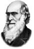 Еволюційна теорія Ч. Дарвіна   Еволюційне вчення   Розмноження та індивідуальний розвиток організмів