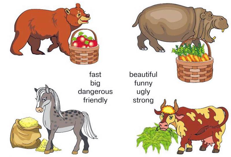 Do you like animals. Animals and their food. Eating animals урок. What animals like to eat. What do domestic animals eat.