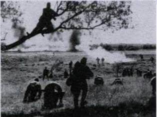 Розгром німецьких військ на Орловсько Курській дузі