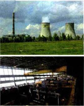 Електроенергетика як складова паливно енергетичного комплексу України