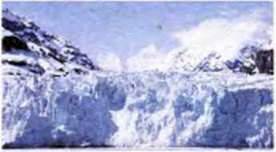 Природа Антарктиди