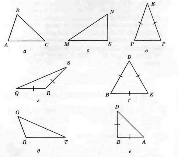 Трикутник і його види